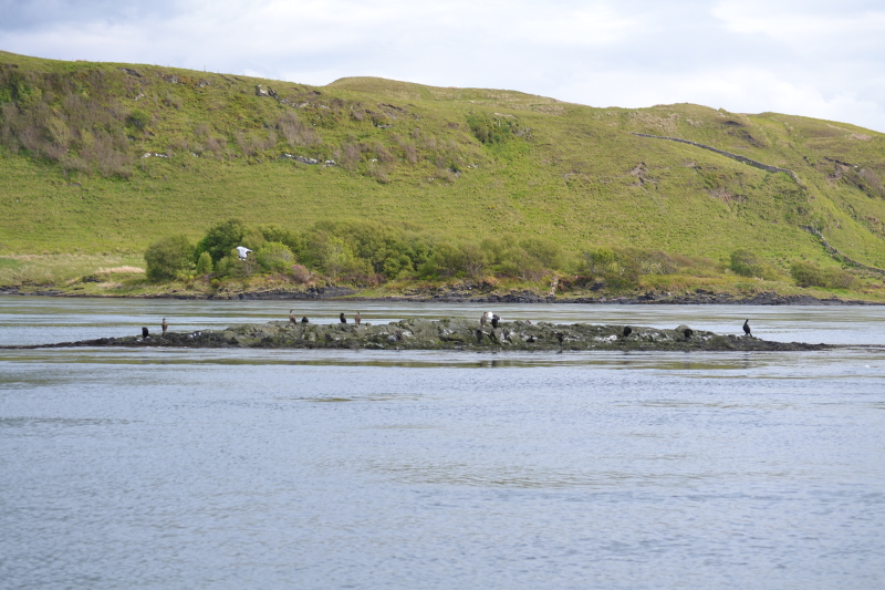 Cuan Sound