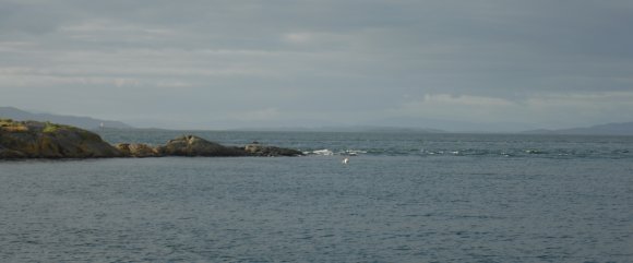 sailean Mor